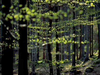 L'économie circulaire et la mode durable: de quoi parle t'on ?